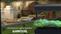 My Greens Light Garden: the shoot
